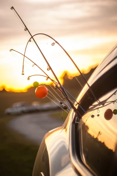 Let's go fishing — Stock Photo, Image