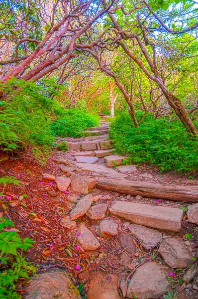 Steile tuin trail — Stockfoto