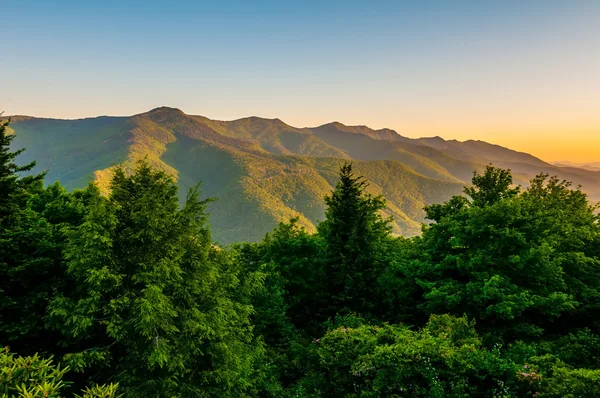 Blue ridge parkway kora reggel — Stock Fotó