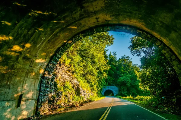 Twin tunnel — Stock Photo, Image