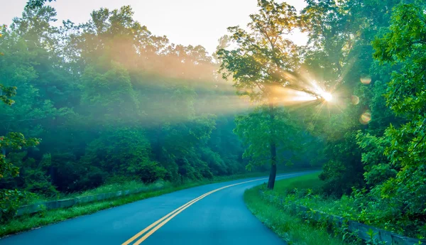 Raios de sol através de árvores na estrada — Fotografia de Stock