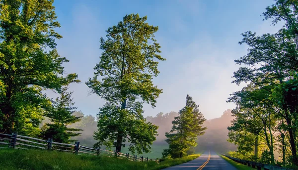 Blue ridge parkway tidigt på morgonen — Stockfoto