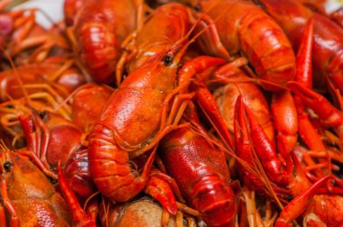 buğulanmış kerevit