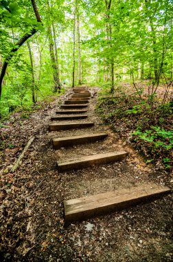 Eyalet parkında yürüyüş parkında bulduğun şeyler.