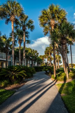 Florida plaj sahnesi