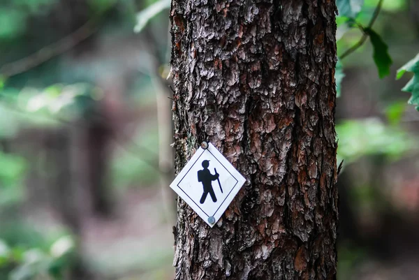 Túrázás nyomvonal jel az erdő ösvényein — Stock Fotó