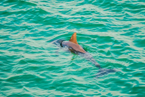 Szene am Strand von Florida — Stockfoto