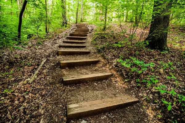 Things you find on a hiking trail in state park — Stock Photo, Image