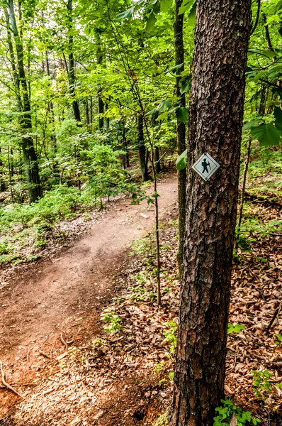 Szlak wędrówki znak na ścieżkach leśnych — Zdjęcie stockowe