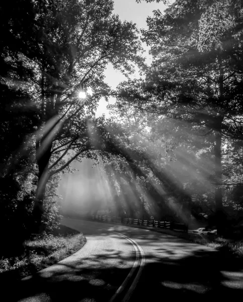 Early morning on blue ridge parkway — Stock Photo, Image