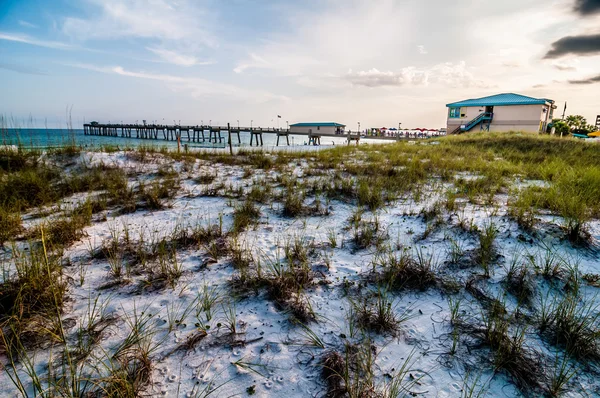 Florida plaj sahnesi — Stok fotoğraf