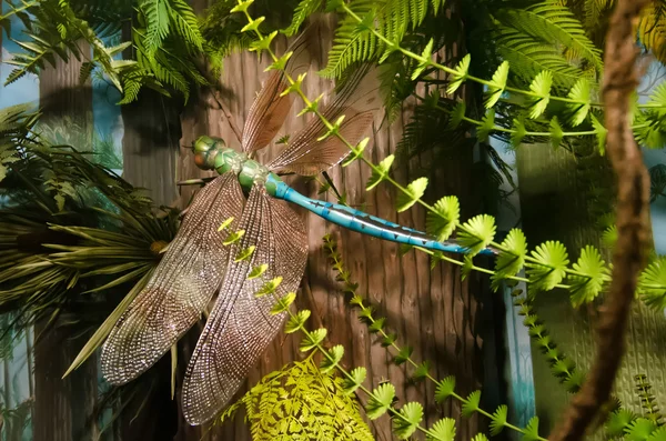 Giant dragon fly — Stockfoto