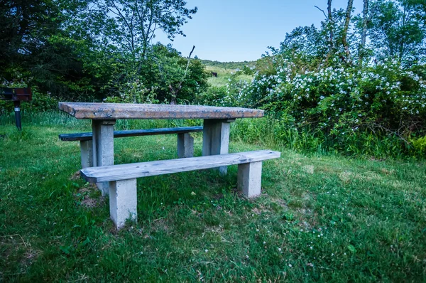 Mesa de picnic y parrilla —  Fotos de Stock