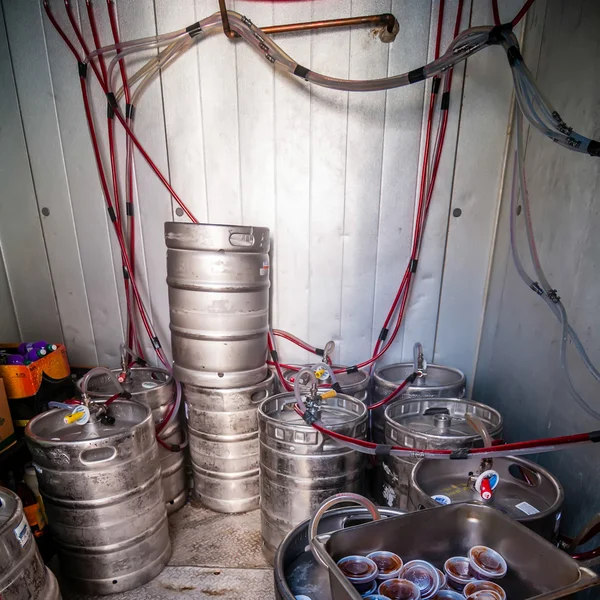 Vaatjes van het bier in de koelkast — Stockfoto