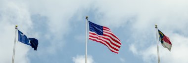 Güney carolina, Kuzey carolina ve ABD bayrağı