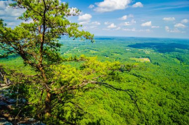 crowders dağ Kuzey ca güzel hava manzara manzaraları