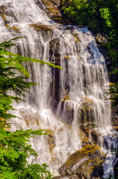 Whitewater Falls in North Carolina — Stock Photo © digidream #29733481
