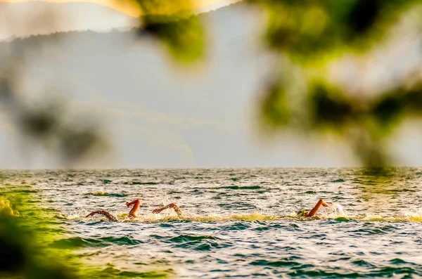 Competencia de natación en el lago —  Fotos de Stock