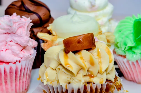 Cupcake variety — Stock Photo, Image