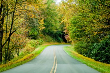 bir yağmur sonra sonbaharda Blue ridge parkway