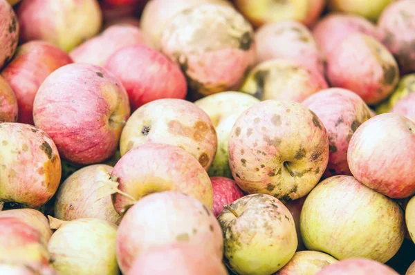 Maçãs fritas carmesim coloridas recém-colhidas em exposição no th — Fotografia de Stock