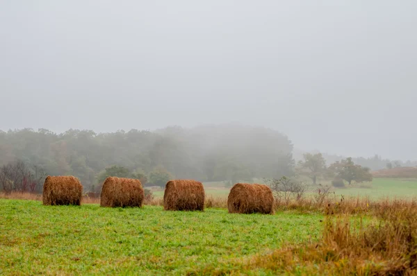 Horská farma země v horách Virginie — Stock fotografie