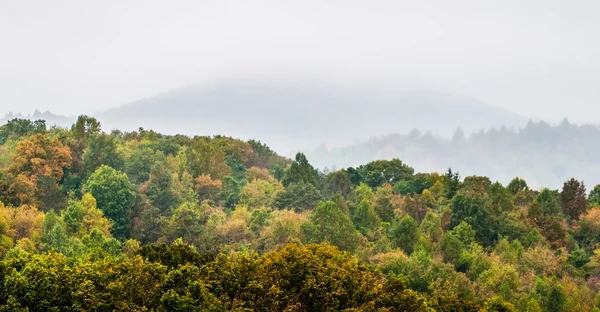 Horská krajina ve státě virginia kolem roanoke — Stock fotografie