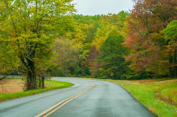 Blue Ridge Parkway no outono depois de uma chuva — Fotografia de Stock