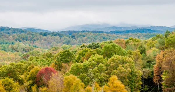 Paesaggi di montagna in stato di verginia intorno a Roanoke — Foto Stock