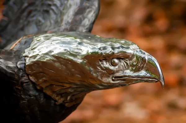 Brons eagle head skulptur — Stockfoto