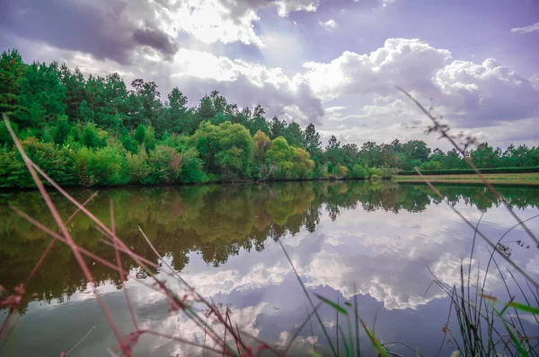 Beautiful lake reflections — Stock Photo, Image