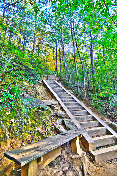 Beautiful autumn forest mountain stair path at sunset