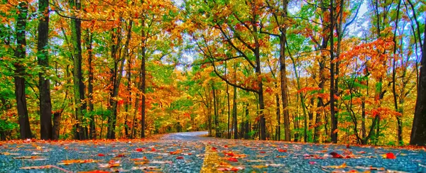 秋天的乡村道路 — 图库照片