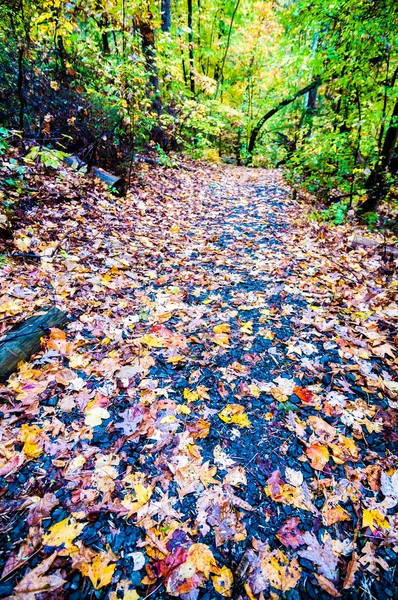 Herbstliche Landstraße — Stockfoto