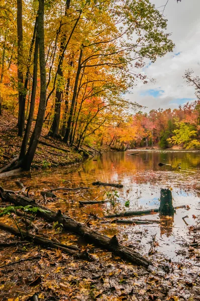 湖での秋 — ストック写真