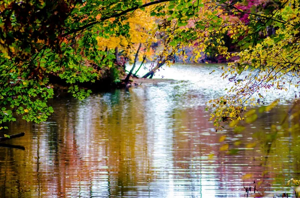 Autumn season at a lake — Stock Photo, Image