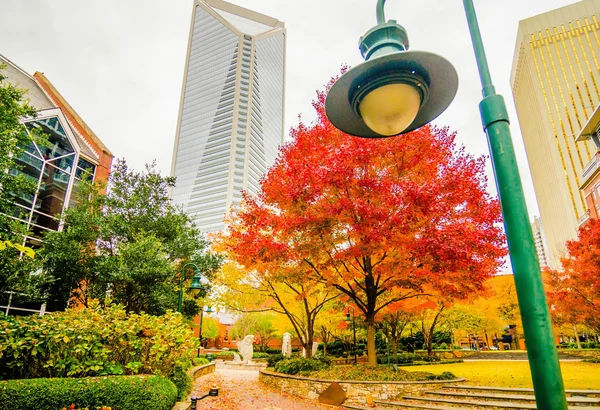 Charlotte City panorama podzimní sezóna — Stock fotografie