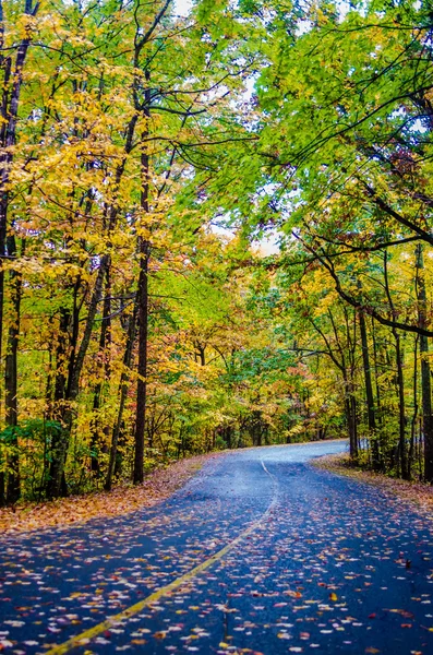 Herbstliche Landstraße — Stockfoto