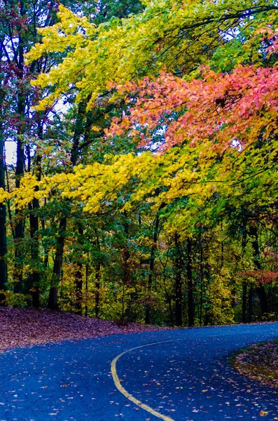 秋の田舎道 — ストック写真