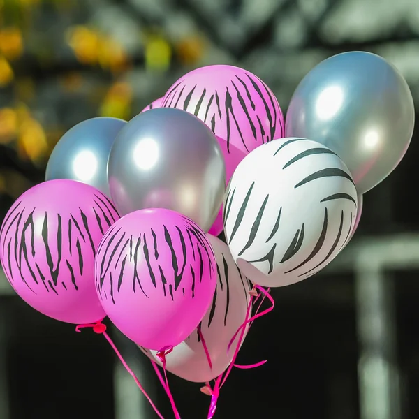Roze en witte zebra ballonnen op borst kanker bewustzijn — Stockfoto