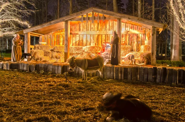 Visitantes vendo ao vivo natividade jogar durante o Natal — Fotografia de Stock