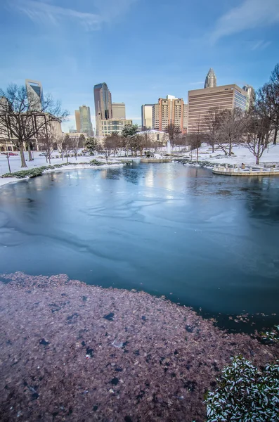 Charlotte north carolina marshall park im winter — Stockfoto