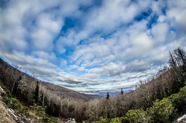 Blue ridge parkway vinter scener i februar — Stockfoto