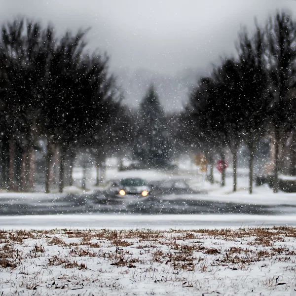 Strada innevata e alberi dopo la tempesta invernale — Foto Stock