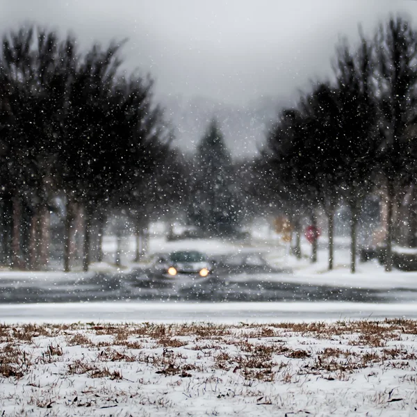 Route enneigée et arbres après la tempête hivernale — Photo