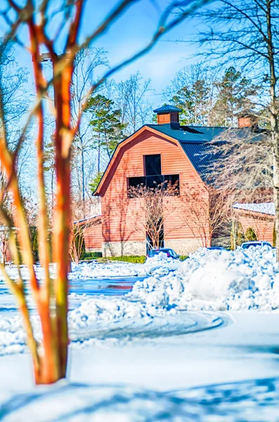 Snow covered landscape at billy graham free library — Stock Photo, Image