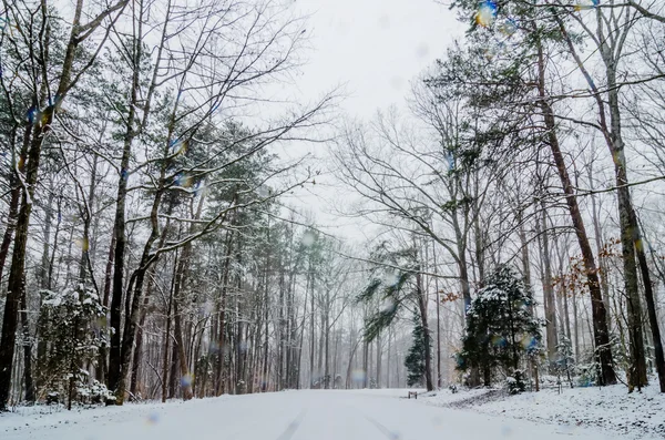 Strada innevata e alberi dopo la tempesta invernale — Foto Stock