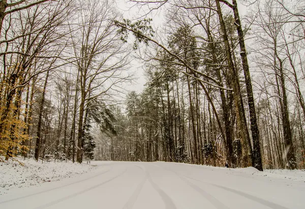 Snötäckta vägen och träd efter winter storm — Stockfoto