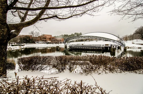 Paesaggio innevato al parco sinfonico charlotte nord carolina — Foto Stock