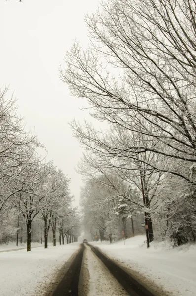 Neve estrada coberta e árvores após tempestade de inverno — Fotografia de Stock